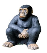 Sitting monkey statue