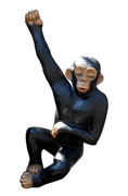 Hanging monkey statue