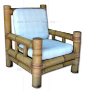 Lounge chair with cushions